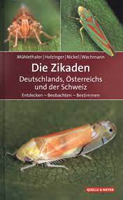 Cicadas have sometimes been described as beetles with wings sticking out. Die Zikaden Deutschlands Osterreichs Und Der Schweiz Entdecken Beobachten Bestimmen The Cicadas Of Germany Austria And Switzerland Discovering Observing Identifying Nhbs Field Guides Natural History