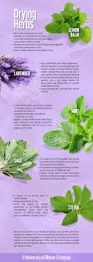 Check spelling or type a new query. 260 Gardening Ideas In 2021 Home Landscaping Green Thumb Gardening Tips