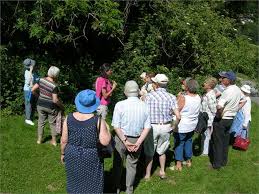 Dans cette catégorie, vous trouverez tout ce dont vous avez besoin pour le confort, le bien être et la sécurité de votre animal de compagnie favori. Visite Decouverte Jardin Des Plantes A Boire A Le Noyer