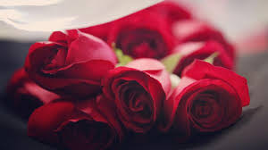 Astrid "Geri" Geraldine Kreider