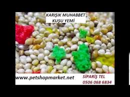 Muhabbet Kusu Yemi Toptan Satis Muhabbet Kusu Yemi Cuval Fiyati Muhabbet Kusu Yem 25 Kg Muhabbet Kus Youtube