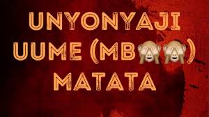 Jike shupa afunguka jinsi walivyomkamata hamorapa baada ya kudai kuzaa na amber lulu. Unyonyaji Uume Mbxx Matata Youtube