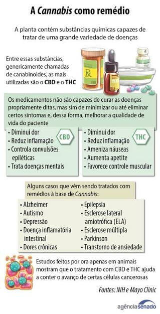 Entenda as discussões sobre a Cannabis medicinal — Senado Notícias