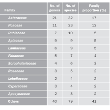 Image result for Rubus steudneri
