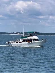 Image result for Rouge Marina 1986 UMM