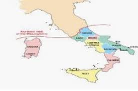 The five regions with home rule are: European Funds And Southern Italian Regions A Critical View Telos