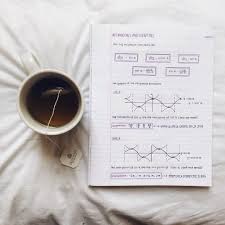 Littlestudiousflower Study Motivation Study Hard Study Inspiration