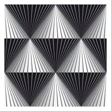 Black And White Optical Illusion Posts About Optical Illusions Geometric Art On Grasshoppermind Optical Illusions Art Illusion Art Geometry Art