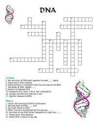 Dna crossword puzzle worksheet answers. Electronic Dance Music Crossword