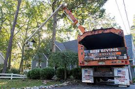 Maybe you would like to learn more about one of these? Look To Ben Bivins Tree Experts For Your Tree Removal Needs Tapinto