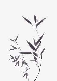Ink Style Bamboo Leaves Illustration Beautiful Ink Bamboo Leaves Black Leaves Beautiful Ink Bamboo Leaves Cartoon Ink Bamboo Leaves Beautiful Ink Bamboo Leave Leaves Illustration Bamboo Tattoo Bamboo Leaves