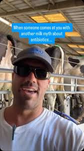 Milk safety starts long before it reaches your fridge. Just like people,  cows sometimes need antibiotics to recover from illness. When that happens,  a veterinarian prescribes treatment, and the cow’s ...