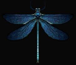 Black And Blue Dragonfly Blue Dragonfly Cross Stitch Pattern Approx 6x Dragonfly Cross Stitch Cross Stitch Patterns Blue Dragonfly