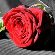 International flower delivery by country. Town Country Flowers And Gifts Home Facebook