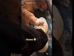 To connect with salome, sign up for facebook today. Lorde Via Instagram Stories Her Dog Pearl She Is In New Zealand Youtube