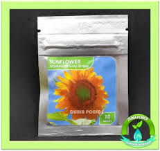 Diskon bibit bunga matahari mammoth grey stripe sunflower seed. Jual Benih Bunga Matahari Sunflower Mammoth Grey Stripe 10 Seeds Import Inkuiri Com