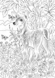 These days, we advise baby deer coloring pages printable for you, this article is similar with i love you valentine coloring pages. Pin On Omalovanky Pro Me