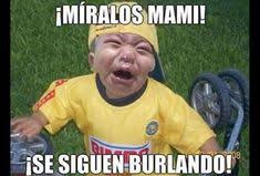 Los mejores memes del clásico nacional chivas vs américa o américa vs chivas. 11 Chivas Ideas Guadalajara Memes Chivas Soccer