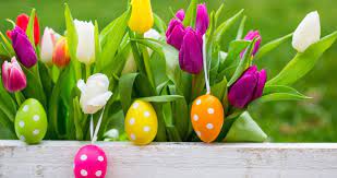 La collection de pâques est placée sous le signe des coquillages, fruit d'une collaboration inédite entre pierre hermé et l'artisan décorateur thomas boog créateur d'objet de. Offres De Paques 2021 Misano Adriatico Pension Complete Hotel Riviera