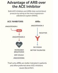 Image result for ACE Inhibitor