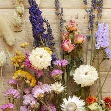 We might sell fake flower arrangements but we guarantee they are australia's longest lasting gift! How To Dry Flowers Methods Flower Types Bloom Wild