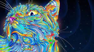 Weird Trippy Wallpapers 1080p Best Of Wallpaper Cool Trippy Desktop Best Hd Wallpapers Of Weird Trippy Wallpaper Cat Wallpaper Colorful Wallpaper Art Wallpaper