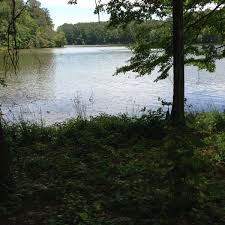 Pulaski, ms (6.9mi/11m mi ); Photos At Roosevelt State Park Morton Ms