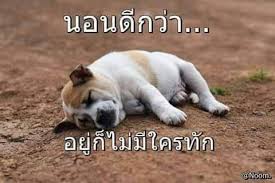ป กพ นโดย เพ ญศร ประท มท พย ใน ขำ คำคมเด นทาง ภาพตลก ขำข น