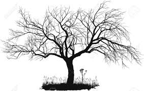 Apple Tree Clip Art Black And White Tree Sketches Yahoo Image Search Results Tree Drawing Apple Tree Fruit Trees