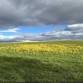 Summer Saunters: Macricostas Preserve