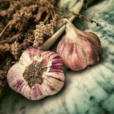 L Oignon Ralentit La Chute Des Cheveux Ameliore La Circulation Sanguine Du Cuir Chevelu Et Permet Ainsi D Antibiotiques Naturels Planter Ail Remedes Naturels