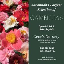 Maybe you would like to learn more about one of these? Gene Phillips Genesnursery Twitter