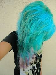 Pin By Abb S On Cute Dyed Hair Directions Hair Dye Hair Styles Punk Hair