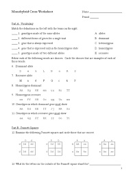 This monohybrid cross worksheet key, as one of the most keen sellers here will unquestionably be accompanied by the best options to review. Monohybrid Homework Dominance Genetics Zygosity Worksheet Crosses Plus And Minus Easy Household Budget Grade 1 Expense Sheet Pdf Area 3rd Adding Year Calamityjanetheshow