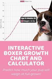 If your puppy is underweight or overweight, speak to your vet to determine if there could be underlying medical problems, such as intestinal worms, hindering your puppy's growth. 19 Best Puppy Weight Calculator Ideas Weight Calculator Calculator Growth Chart
