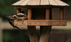 Modern bird table designed and made by green&blue in the uk. Bird Table On Stand Covered Wooden Feeding Platform Bird Barn