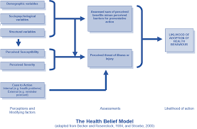Models And Theories Of Health Behaviour 2 The Health Belief Model Amac Training