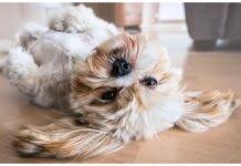 Check out our list of hindu baby boy names starting with r and choose best hindu name that starts with r for your new born or expected baby boy. List Of Bollywood Actors Names Starting With P Actor Names Finder