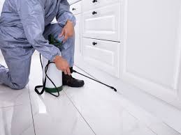 Corky's industrial and commercial pest control services are thorough and efficient. The Best Pest Control In San Diego Ca 2021 This Old House