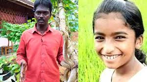 Renowned snake catcher vava suresh sustained a snake bite while catching a cobra from kurichi near changanassery on monday evening. Snakebite Death Of School Student In Wayanad Listen What Snake Master Vava Suresh Has To Say Video Kerala General Kerala Kaumudi Online