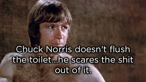 Not really a chuck norris fact, but i highly recommend that everyone go see his fight with bruce lee in the way of the dragon. A Collection Of Corny Chuck Norris Jokes That Are Admittedly Hilarious