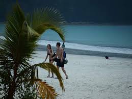 #havelock island #andaman islands caters #islands caters #wonderful holiday #made andaman snorkeling at havelock island : Upgrade Health Infra Before Hosting Tourists Demand Havelock Island Residents In Petition Kolkata News Times Of India