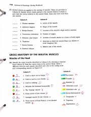 A board game to use for revision of the first lessons' learning. Skeletal Muscles Pdf 114 Anatomy Physiology Coloring Workbook 17 U2022 Several Criteria Are Applied To The Naming Of Muscles These Are Provided In Course Hero