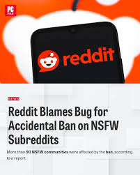 Following dozens of NSFW subreddits being temporarily banned on Wednesday  for being “unmoderated,” Reddit says the move was falsely triggered by a  “bug” in its system. “There was a bug with one
