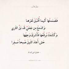 شعر عنترة بن شداد فضممتها كيما أقبل ثغرها عالم الأدب words quotes postive quotes arabic poetry