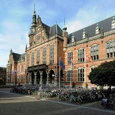 University Of Groningen City Nl