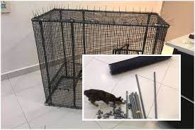 Guna pvc saja supaya boleh tahan lama tak karat. Diy Sangkar Kucing Guna Pvc Bajet Murah Ikut Saiz Confirm Tak Karat Petua Ibu