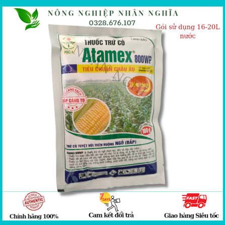 Atamex 800WP