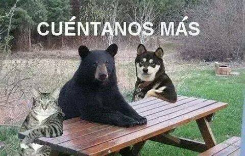 images