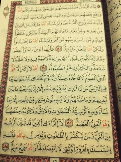 Holy Quran for memorisation